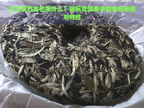 普洱里的金色是什么？揭示普洱茶中的金色秘密与特性