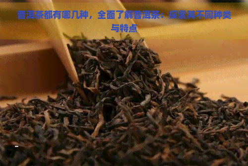 普洱茶都有哪几种，全面了解普洱茶：探索其不同种类与特点