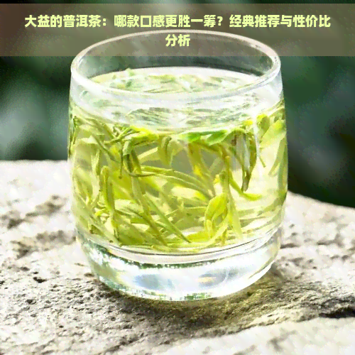 大益的普洱茶：哪款口感更胜一筹？经典推荐与性价比分析