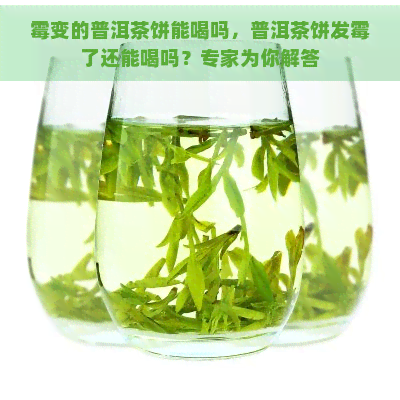 霉变的普洱茶饼能喝吗，普洱茶饼发霉了还能喝吗？专家为你解答