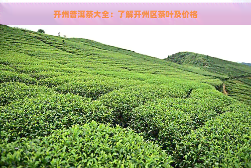 开州普洱茶大全：了解开州区茶叶及价格