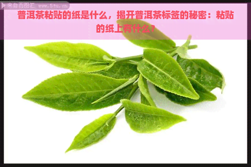 普洱茶粘贴的纸是什么，揭开普洱茶标签的秘密：粘贴的纸上有什么？