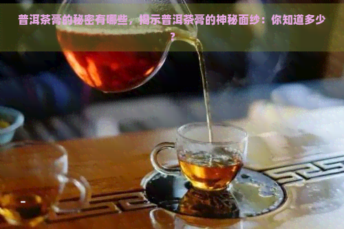 普洱茶膏的秘密有哪些，揭示普洱茶膏的神秘面纱：你知道多少？