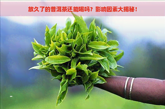 放久了的普洱茶还能喝吗？影响因素大揭秘！