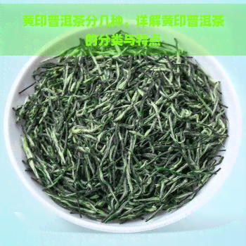 黄印普洱茶分几种，详解黄印普洱茶的分类与特点