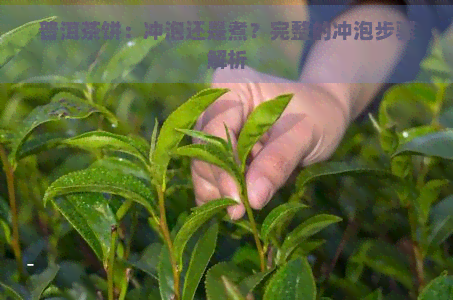 普洱茶饼：冲泡还是煮？完整的冲泡步骤解析