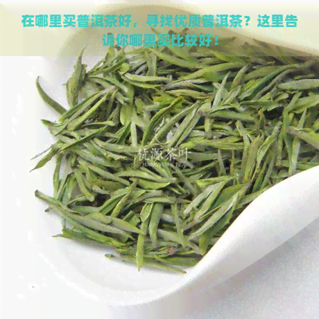 在哪里买普洱茶好，寻找优质普洱茶？这里告诉你哪里买比较好！