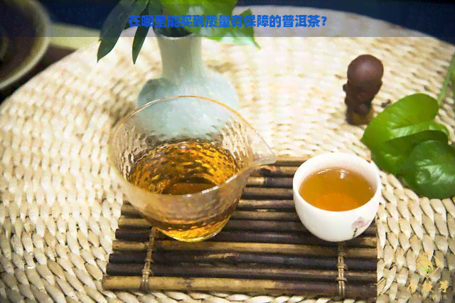 在哪里能买到质量有保障的普洱茶？