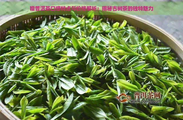 糯普洱茶口感特点与价格解析：揭秘古树茶的独特魅力