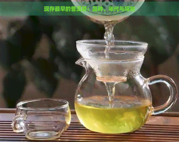 现存最早的普洱茶：品种、年代与探析