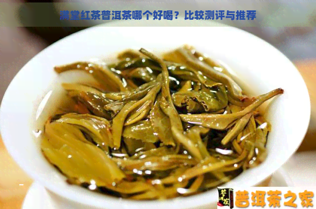 满堂红茶普洱茶哪个好喝？比较测评与推荐