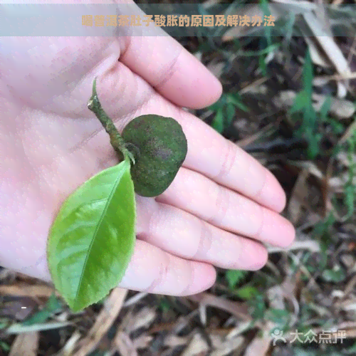 喝普洱茶肚子酸胀的原因及解决办法