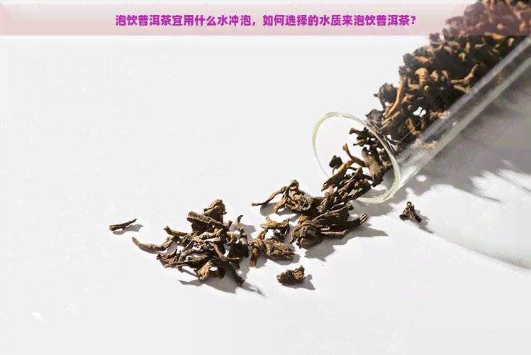 泡饮普洱茶宜用什么水冲泡，如何选择的水质来泡饮普洱茶？