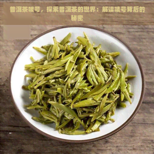 普洱茶唛号，探索普洱茶的世界：解读唛号背后的秘密