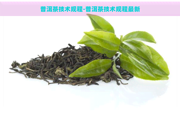 普洱茶技术规程-普洱茶技术规程最新