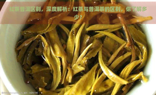 红茶普洱区别，深度解析：红茶与普洱茶的区别，你了解多少？