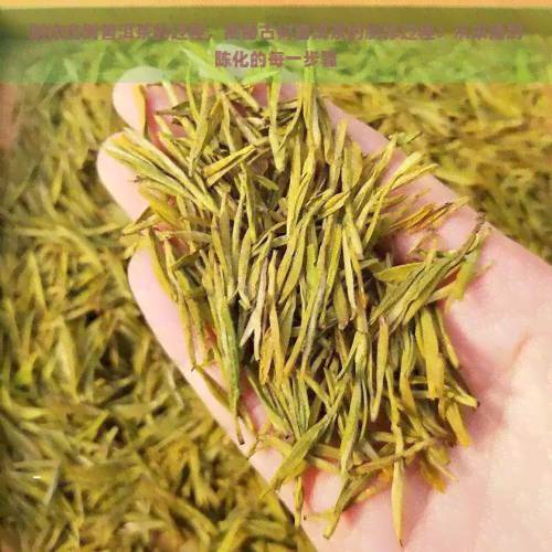 制作古树普洱茶的过程，揭秘古树普洱茶的制作过程：从采摘到陈化的每一步骤