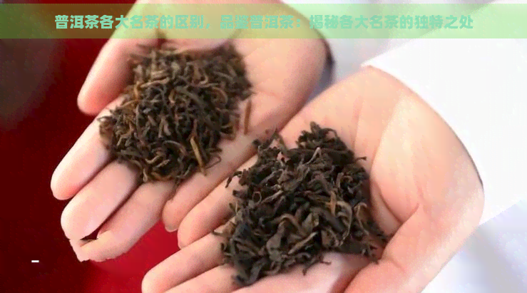 普洱茶各大名茶的区别，品鉴普洱茶：揭秘各大名茶的独特之处