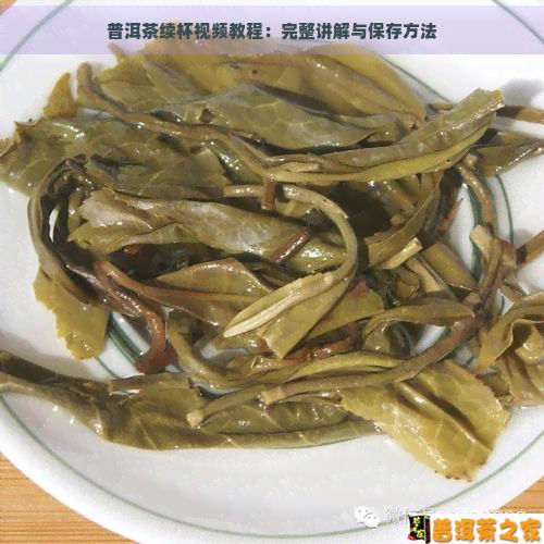 普洱茶续杯视频教程：完整讲解与保存方法