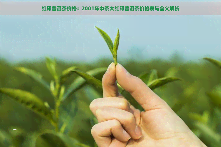 红印普洱茶价格：2001年中茶大红印普洱茶价格表与含义解析