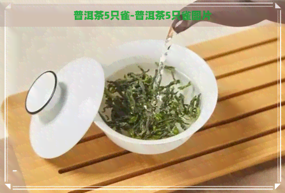 普洱茶5只雀-普洱茶5只雀图片