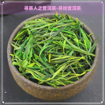 寻茶人之普洱茶-寻找普洱茶