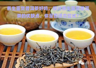 养生壶煲普洱茶好吗，探讨养生壶煲普洱茶的优缺点，你是否适合尝试？