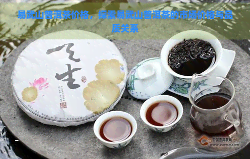 易武山普洱茶价格，探索易武山普洱茶的市场价格与品质关系