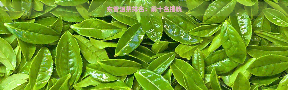 东普洱茶排名：前十名揭晓