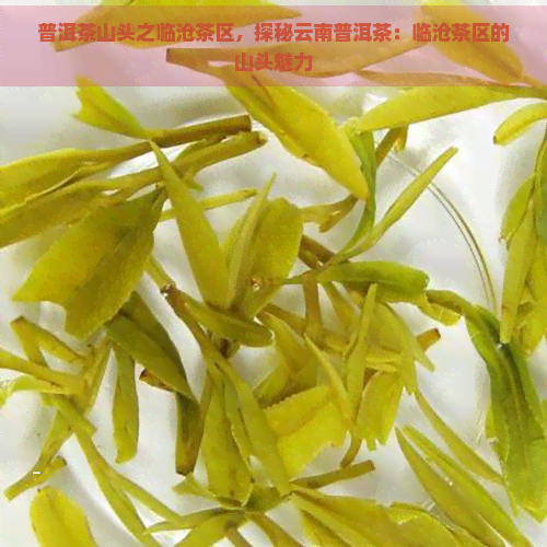 普洱茶山头之临沧茶区，探秘云南普洱茶：临沧茶区的山头魅力