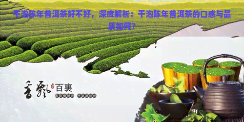 干泡陈年普洱茶好不好，深度解析：干泡陈年普洱茶的口感与品质如何？