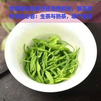 普洱茶喝生茶好还是熟的好，普洱茶初学者必看：生茶与熟茶，哪个更适合你？