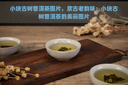 小块古树普洱茶图片，欣古老韵味：小块古树普洱茶的美丽图片