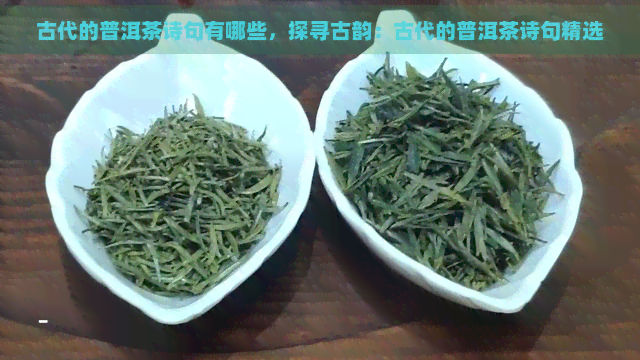 古代的普洱茶诗句有哪些，探寻古韵：古代的普洱茶诗句精选