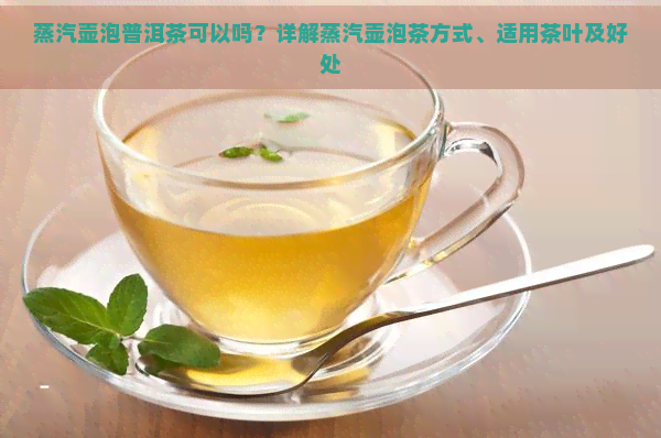 蒸汽壶泡普洱茶可以吗？详解蒸汽壶泡茶方式、适用茶叶及好处