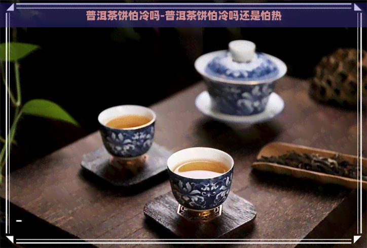 普洱茶饼怕冷吗-普洱茶饼怕冷吗还是怕热