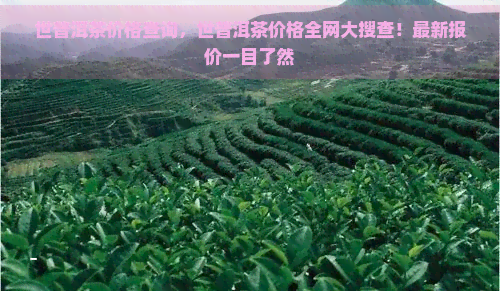 世普洱茶价格查询，世普洱茶价格全网大搜查！最新报价一目了然