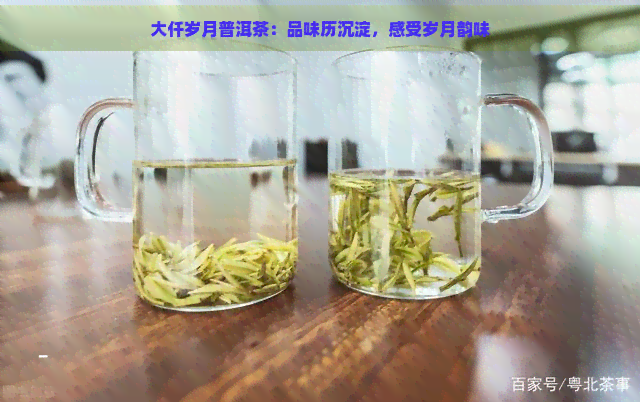 大仟岁月普洱茶：品味历沉淀，感受岁月韵味