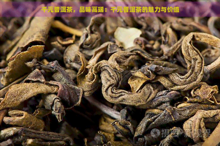 千元普洱茶，品味高端：千元普洱茶的魅力与价值