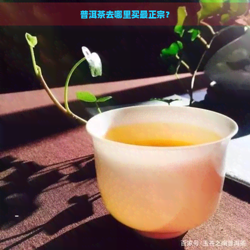 普洱茶去哪里买最正宗？