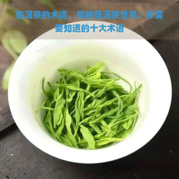 普洱茶的术语，探秘普洱茶世界：你需要知道的十大术语