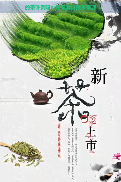 的茶叶贵吗？探究其价格及来源