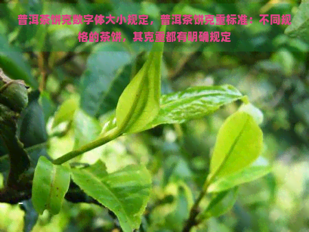 普洱茶饼克数字体大小规定，普洱茶饼克重标准：不同规格的茶饼，其克重都有明确规定