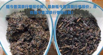 福今普洱茶行情报价网，最新福今普洱茶行情报价，尽在福今普洱茶行情报价网！