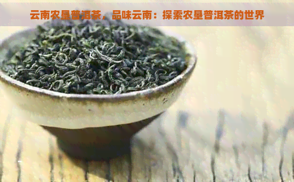 云南农垦普洱茶，品味云南：探索农垦普洱茶的世界