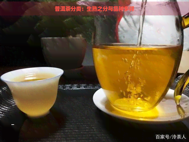 普洱茶分类：生熟之分与品种多样