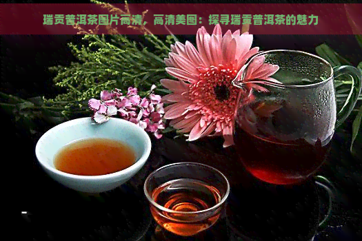 瑞贡普洱茶图片高清，高清美图：探寻瑞贡普洱茶的魅力