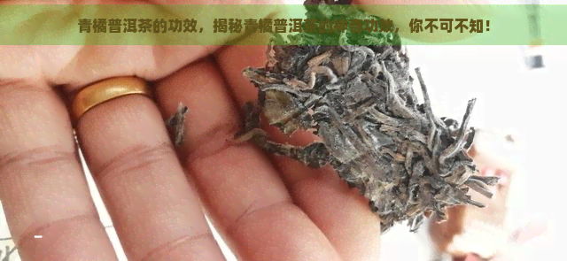 青橘普洱茶的功效，揭秘青橘普洱茶的神奇功效，你不可不知！