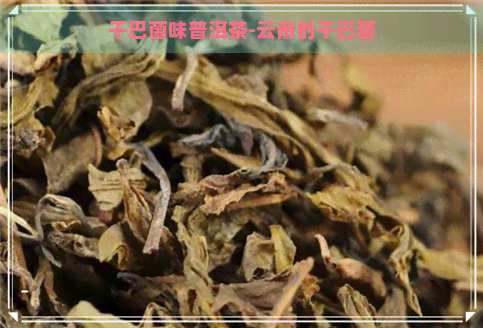 干巴菌味普洱茶-云南的干巴菌