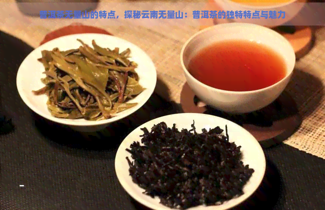 普洱茶无量山的特点，探秘云南无量山：普洱茶的独特特点与魅力